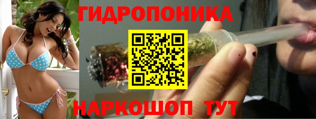 Каннабис Amnesia  Каннабис сатива  Бийск  Шишки марихуана гибрид  Вход с VPN  Канабис Bruce Banner 